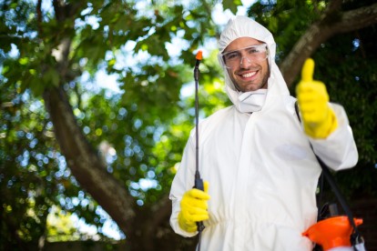 24 Hour Pest Control, Pest Control in New Malden, KT3. Call Now 020 8166 9746