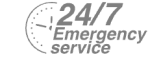 24/7 Emergency Service Pest Control in New Malden, KT3. Call Now! 020 8166 9746