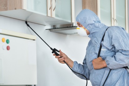 Home Pest Control, Pest Control in New Malden, KT3. Call Now 020 8166 9746
